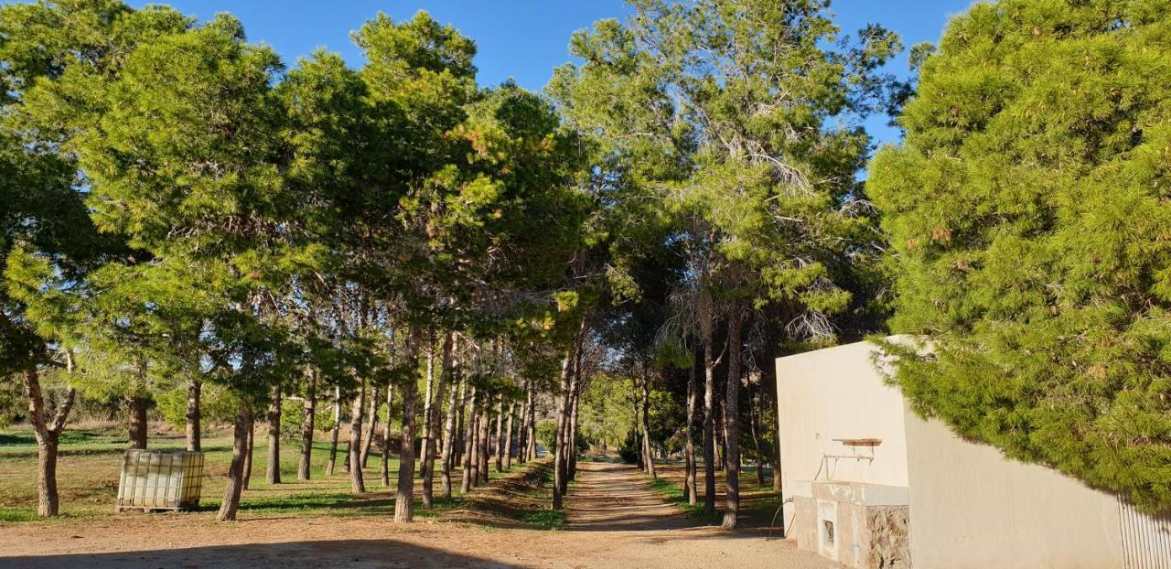 Villa El Molino De Arriba Níjar Exterior foto