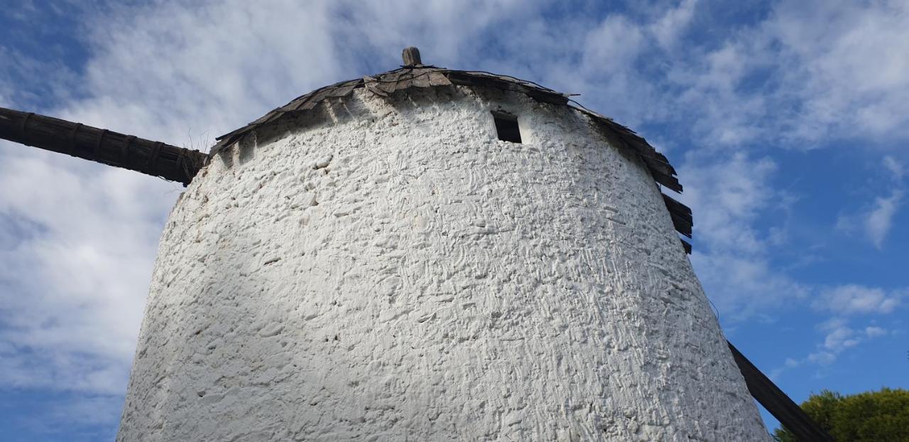 Villa El Molino De Arriba Níjar Exterior foto